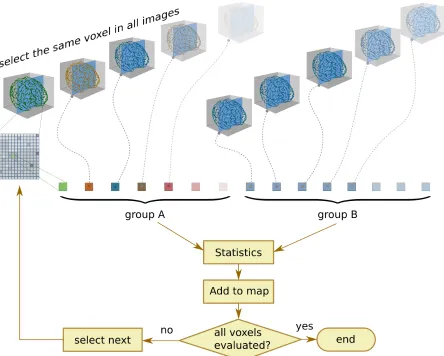 Figure 1.13: Voxel-based statistical techniquesto compare groups of images at the voxel scale