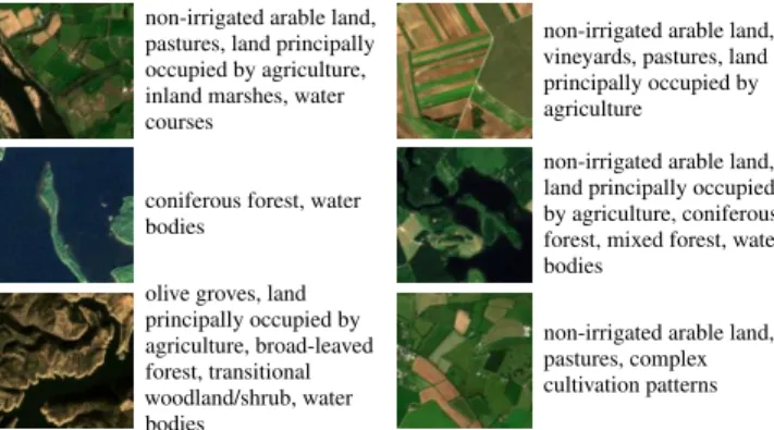 Fig. 4: Example of Sentinel-2 images and their multi-labels in the BigEarthNet archive.