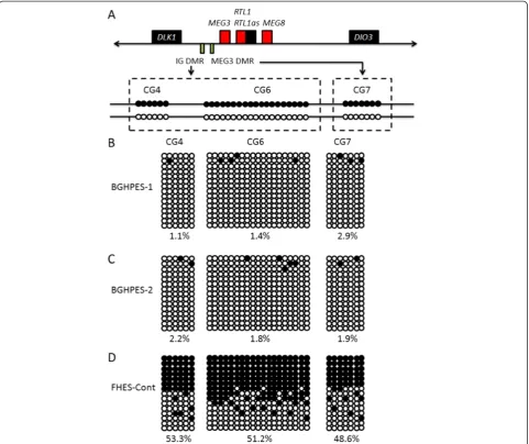 Figure 5 Bisulfite sequencing analysis of IG-DMR (CG4 and CG6) and MEG3-DMR (CG7) using DNA samples from human parthenogenetic andfertilized embryonic stem cells