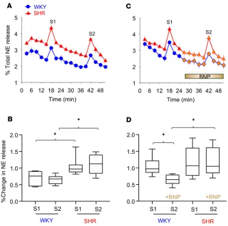 Figure 3. Effect of BNP on the norepinephrine release from isolated atria. (A) Representative group raw data traces showing the time control for [3H]-norepinephrine ([3H]-NE) release from isolated atria harvested from 4-week-old Wis-tar Kyoto (WKY) rats an