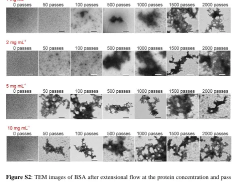 Figure S2: TEM images of BSA after extensional flow at the protein concentration and pass 