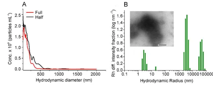 Figure S3: Control experiments under reduced shear by halving the capillary length. (A) 