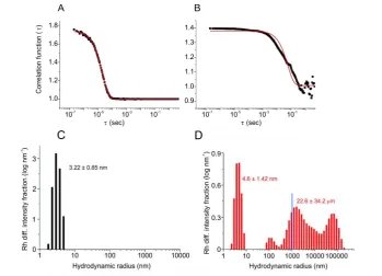 Figure S5: DLS correlation functions (black squares) of (A) native BSA and (B) BSA after 
