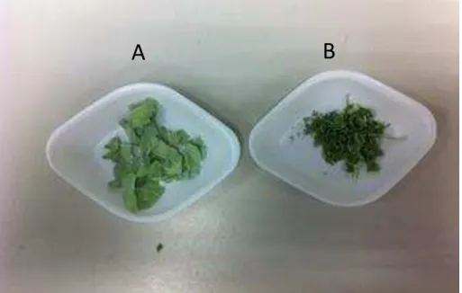 Figure 2 Click here to download Figure Figure 2.pptx 