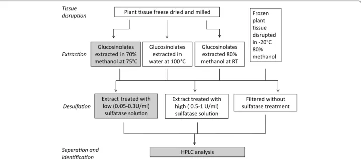 Fig. 1  A broad outline of common extraction methods used for glucosinolate analysis. Highlighted in grey is the ISO 9167‑1 method which was  originally intended for glucosinolate extraction from B