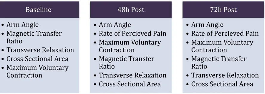 Table 1: Timeframe of test protocols  