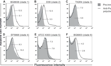 FIG 1 Surface binding of anti-PspAD39 (B), TIGR4 (C), EF5668 (D), ATCC 6303 (E), and BG6803 (F) was analyzed by ﬂow cytometry using anti-PspAPreimmune serum (solid gray histogram) was used as the negative control