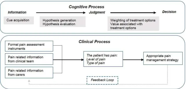 Figure 2: The cognitive and clinical process for recognising, assessing and managing pain [7] 