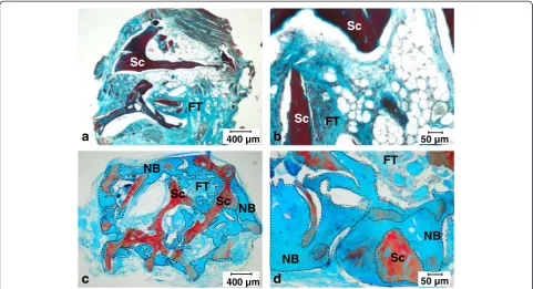 Figure 5 Histological analysis ofcondition) were embedded in paraffin and stained with Masson in vivo bone formation after 7 weeks of ectopic implantation into immunodeficient mice