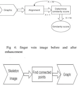 Figure below. Now the image is enhanced in such a way that the vessels are more clearly visible, the skeleton extraction takes place