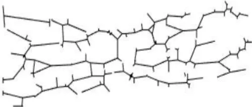 Fig 8: A finger vein graph 