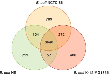 Fig. 4. Comparison of the genetic content ofNCTC 86 share 104 genes that are not present ingenetic group (group A) and share 3640 common genes.genome-sequencedlarly,are absent in E