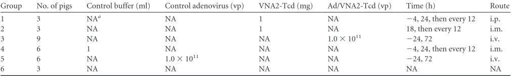 TABLE 1 Pig treatment groups