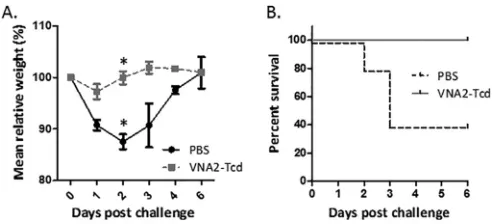 FIG 1 Synthesis and puriﬁcation of VNA2-Tcd. (A) Schematic diagram of TcdA and TcdB toxins, respectively