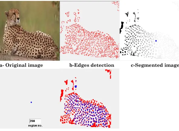 Figure (3) determine high frequent regions 