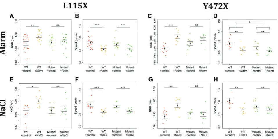 Figure 6. Shoaling behaviour of 5 dpfL115X (two-way ANOVA,NY472X (Y472X (two-way ANOVA,Pbehaviour