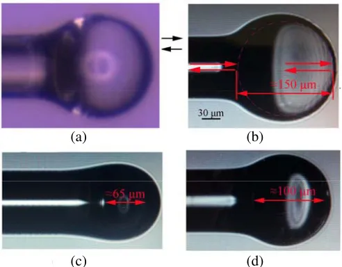 Figure 2. (a) Image of micro-cavity obtained by external optical microscope. Micro-cavity with cavitylength of (b) ∼ 150 µm (c) ∼ 65 µm (d) ∼ 100 µm.