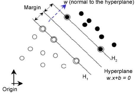 Figure 4. Linear kernel support vector machine. 