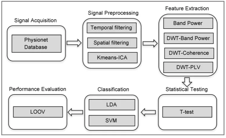 Figure 1. Framework of the proposed BCI system. Signal preprocessing and feature extraction are performed prior to statistical testing