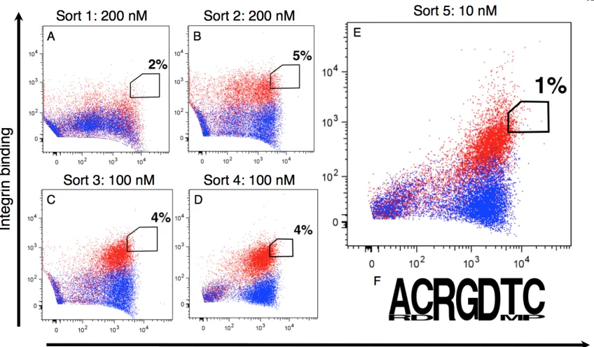 Fig. 2-3. FACS plots for sequential sorts (A-E) of the library against decreasing concentrations of 