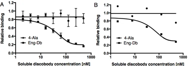 Fig. 2-4. Binding characterization of Eng-Db. (A) On rate measured with different concentrations 