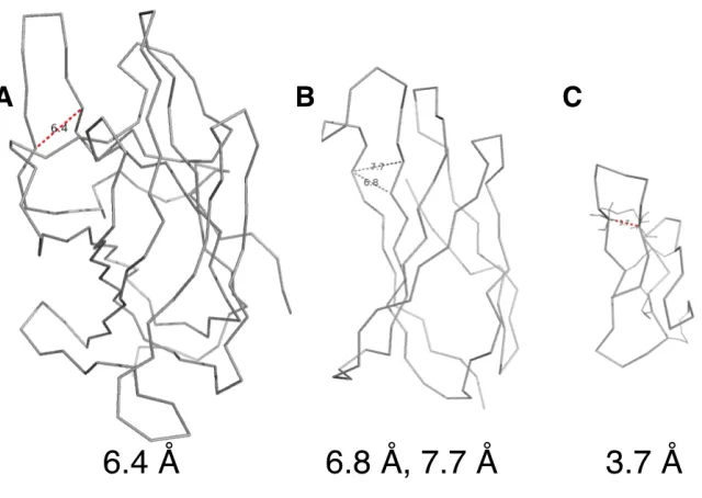 Fig. A-12. Close-up ribbon diagrams from Figure A-11.  