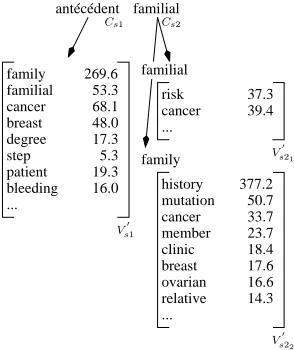 Figure 2: Projection in the target corpus