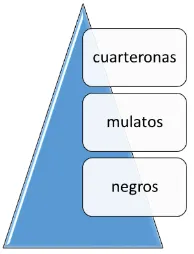 Fig. 8. Cuarteronas. Este diagrama intenta mostrar el esquema de percepción en cuanto a la categorización 