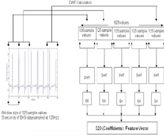 Figure Generation/Extraction 