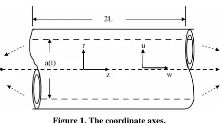 Figure 1. The coordinate axes. 
