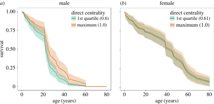 Figure 2. The survival of male (predicted survival of whales with the first quartile and maximum direct centrality (degree) of whales observed in the study