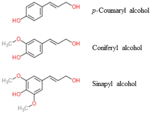 Figure 2. Most Common Monolignol Monomers in Nature. Although mature lignin is 