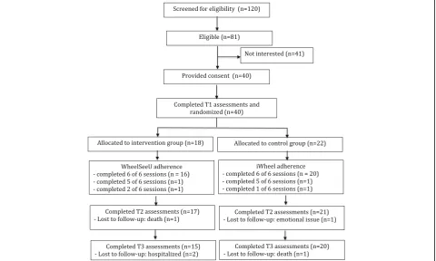 Fig. 1 Flow of participants through the WheelSeeU study