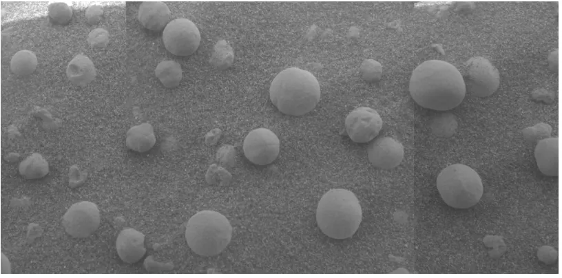 Figure 1.1: The existence of Hematite spherules found embedded in rock would illicit far lesscomment on earth than it did when Opportunity found these spherules at Meridiani Planumin 2004