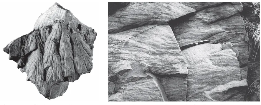 Figure 3.2: Shatter-cones typically will only partially form as seen in 3.2b, due to inhomo-geneities in the rocks, but may form nested, “horse-tail” groupings in some types of rocks asin 3.2a