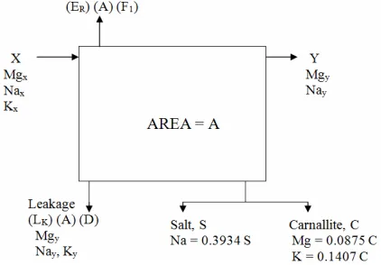 Figure 3. Carnallite pond material balance. 