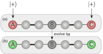 FIG. 1. Entangling protocol. (a) Initial injection of two |+⟩ =coupling (thick line) andevolution of the system under natural dynamics, until the mirroringtime (chain with√1(|0⟩ + |tM) is reached