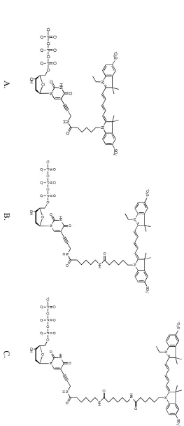 Figure 2.2 