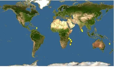 Fig. 2. Encyclopaedia of Life: yellow dots shows Rhizophora mucronata distribution  