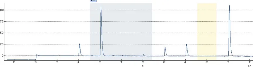 Figure 3. Example of a successful bisulfite conversion followed by pyrosequencing. Note that the control C testing for presence of unconverted cytidine (yellow bar) has no peak as expected