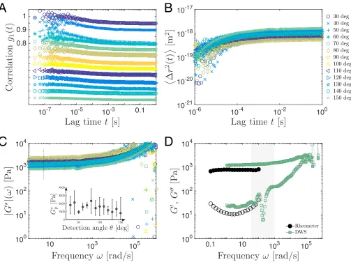 FIG. 5: Measurements on a solid-like, non-ergodic sample, an aqueous gelatin gel at a concentration of 5 wt% with embeddedtracer particles (1.25 wt%, a = 1 µm )