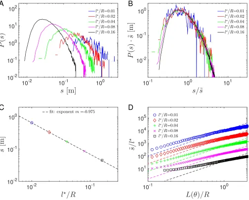 FIG. 2: (Color online) Simulation results. (A) Path length distribution P(s) for diﬀerent values of l⋆/R, calculated at a ﬁxeddetection angle θ = 90 deg