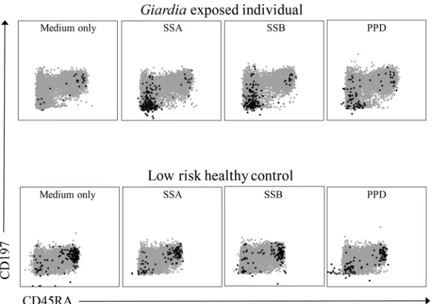 FIG 1 IL-17A-producing CD4the� T cells in a CD197� CD45RA� plot. Flow cytometric plots showing IL-17A-producing cells as black dots in a gray CD4� T cellpopulation
