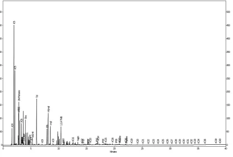 Figure 5. LNAPL in the well MW-R found in Event 2. 