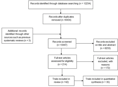 Figure 1 Search process.