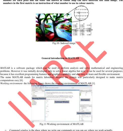 Fig.10- Indexed image 