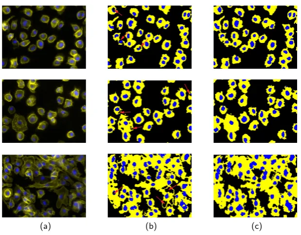Fig. 5. Segmentation results for 3 samples from the image dataset. Column (a) showsreal image samples