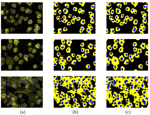 Fig. 5. Segmentation results for 3 samples from the image dataset. Column (a) showsreal image samples