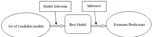 Figure 3. Multi-model inference approach diagram. 