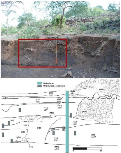 Figure 5: Photograph and scaled drawing of east-facing Section 102. The blue rectangle indicates the position of the soil sampling column, and the grey boxes mark the undisturbed samples collected for micromorphological analyses